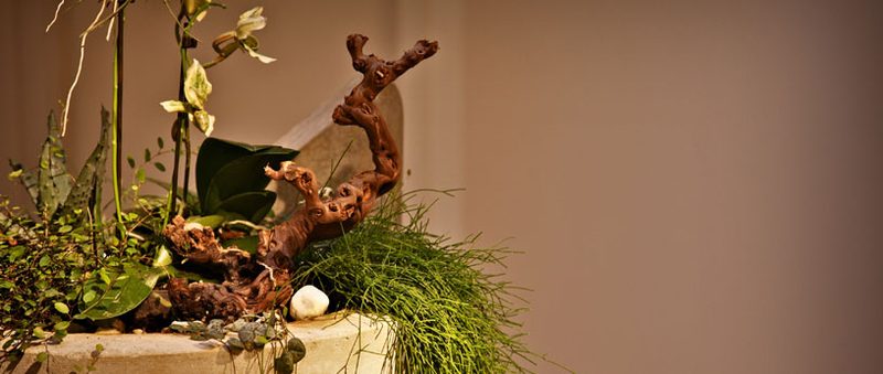 Studio Ronald Brendler Cosmetics — Außenansicht